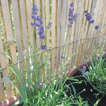 Ferienhaus Joël Et Nathalie